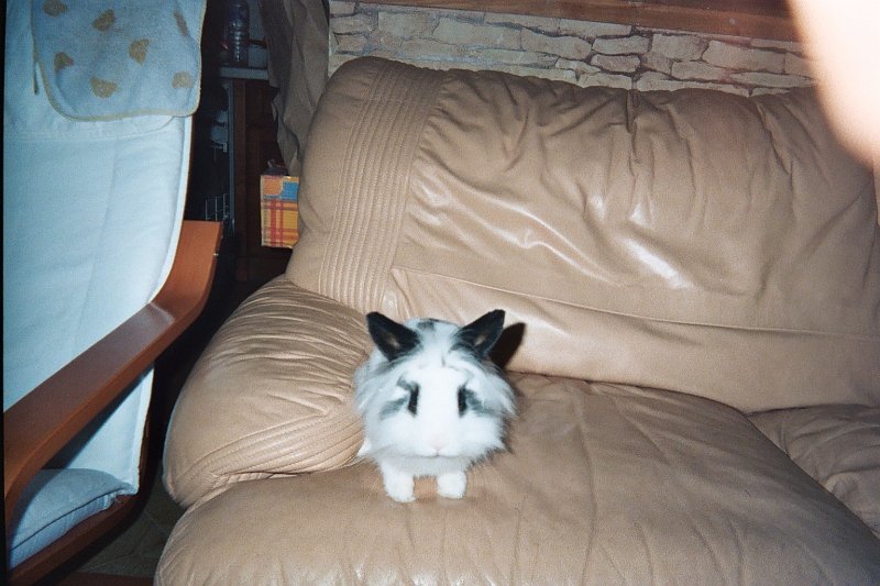 019_16.JPG
